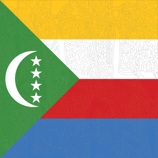 Comoros Flag Bandana