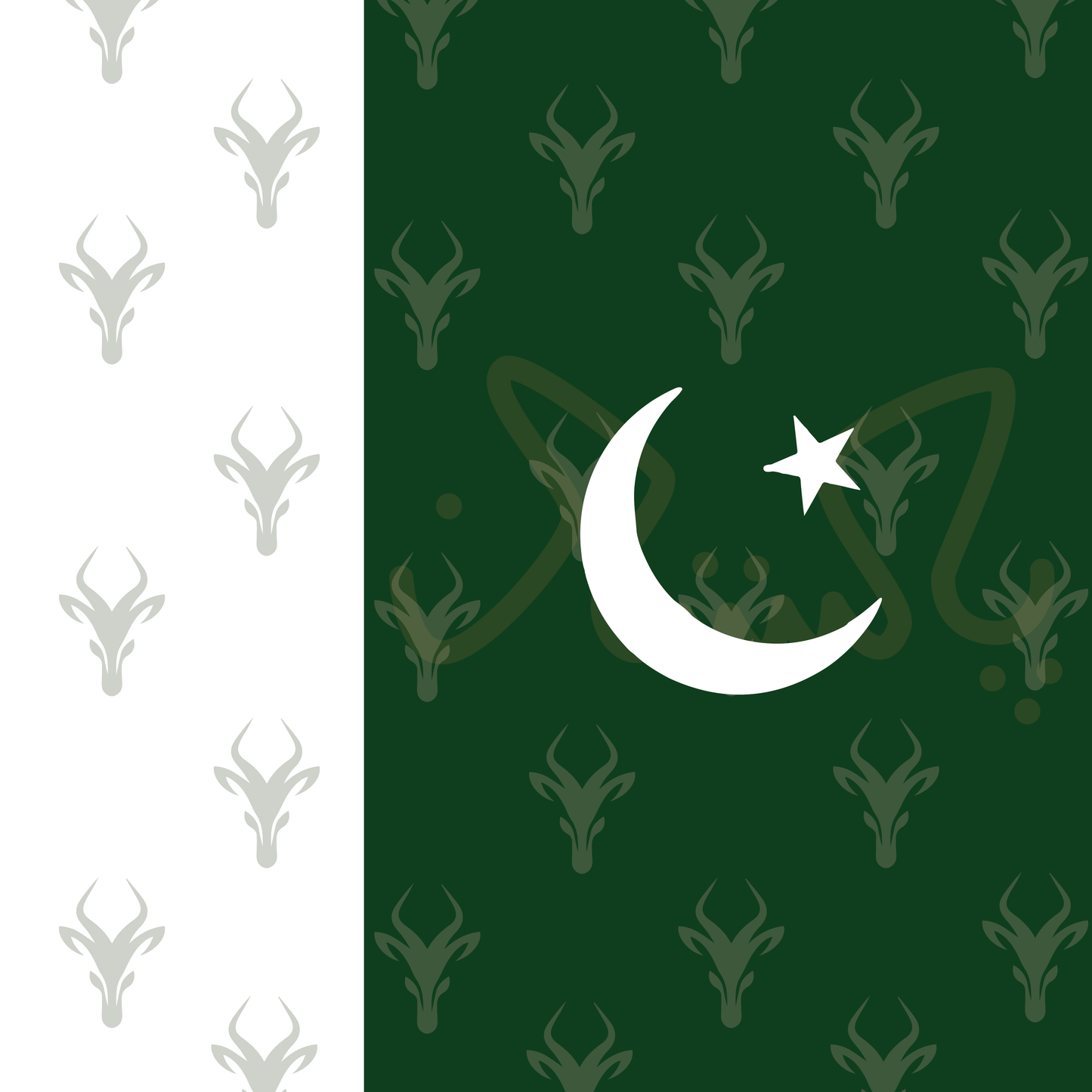 Pakistan Flag Bandana