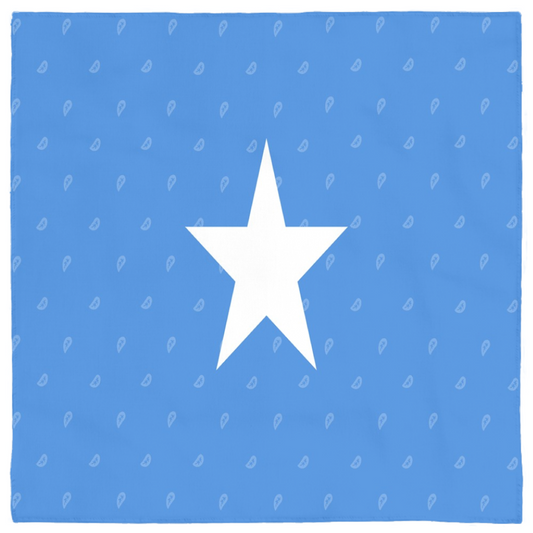 Somalia Flag Bandana